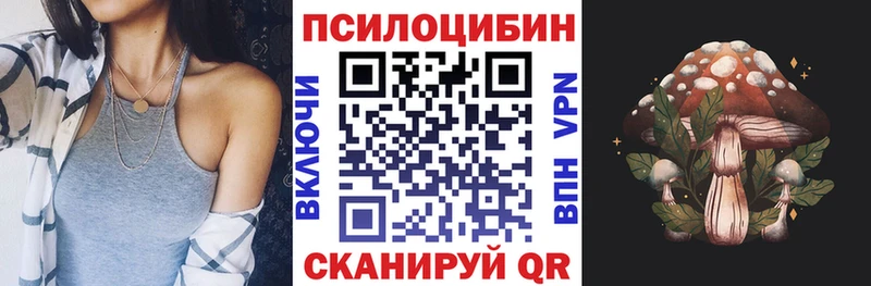 Галлюциногенные грибы мицелий  купить наркотики цена  Очёр 